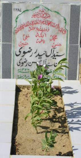 2287 – SYED ALAY HAIDER RIZVI