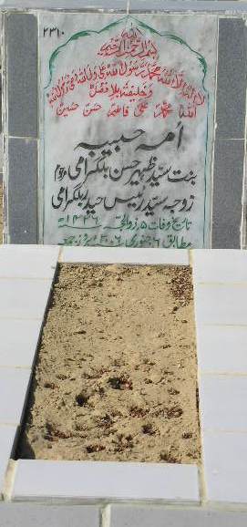 2310 – UMME HABIBA D/O SYED ZAHEER HASAN BILGRAMI