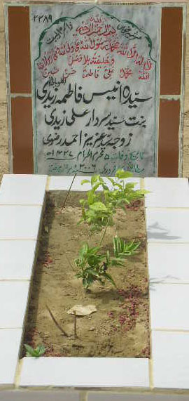 2389 – SYEDA ANIEES FATIMA ZAIDI D/O SYED SARDAR ALI ZAID