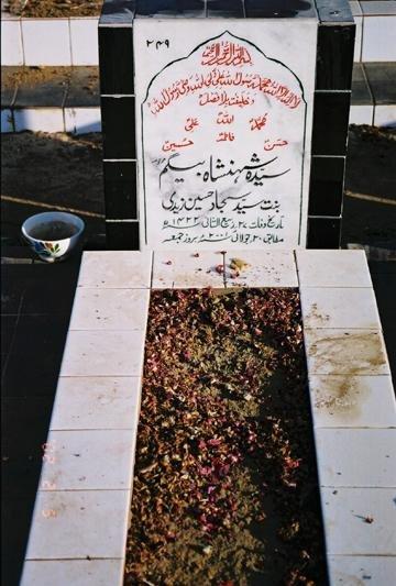 249 – Syeda Shahinshah Begum