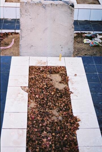 253 – Syeda Ibrar Shah Taj