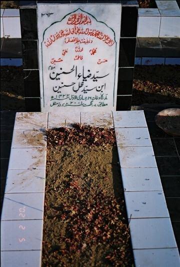 263 – Syed Zia-ul-Hasnain