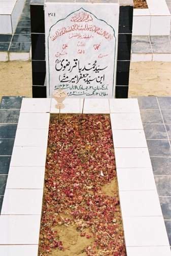 271 – Syed Mohammed Baqar Rizvi