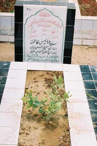 310 – Syeda Anees Fatima