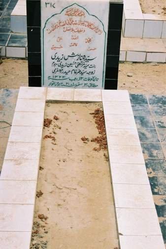 317 – Syeda Nazish Haider