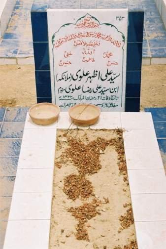 373 – Syed Ali Azhar Alwi