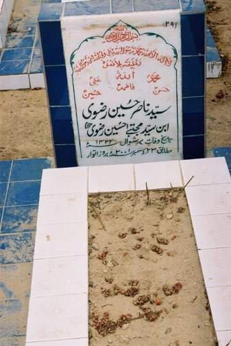 391 – Syed Nasir Hussain Rizvi