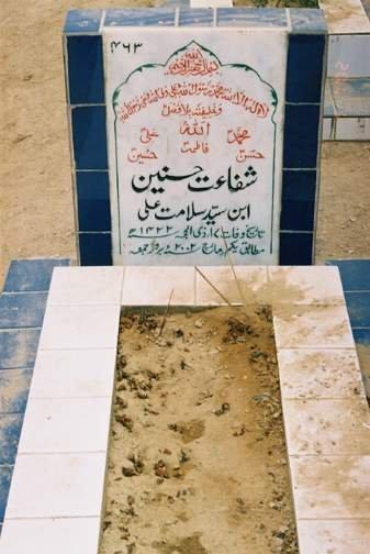 463 – Shafat Hasnain