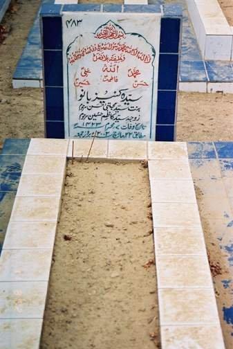 483 – Syeda Kaneez Fatima