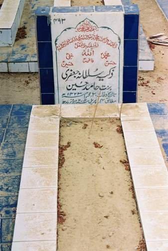 493 – Zakia Sultana Jafri