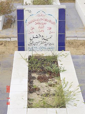 495 – Hameeda Fazl