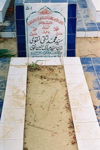 501 – Syed Mohammed Taqi Naqvi