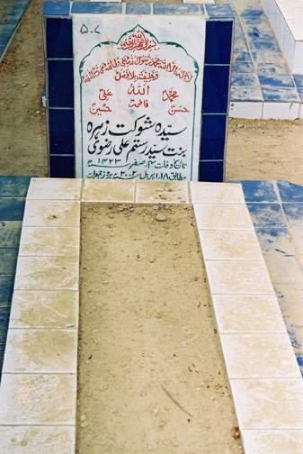 507 – Syeda Shauket Zehra