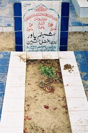 534 – SYED NIZAM HUSSAIN ZAIDI