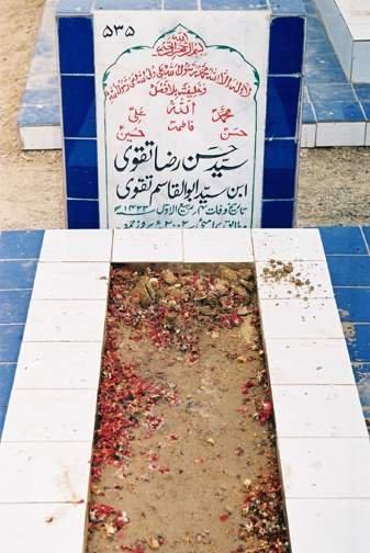 535 – Syed Hassan Raza Taqvi