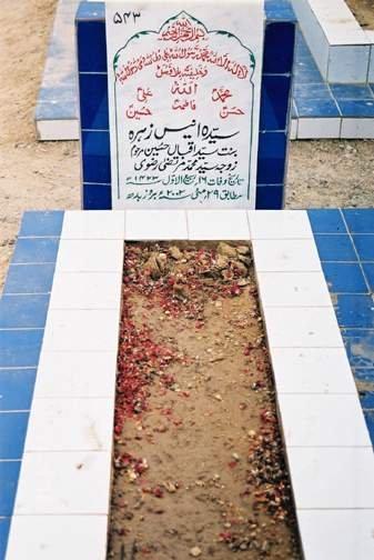 543 – Syeda Anees Zehra