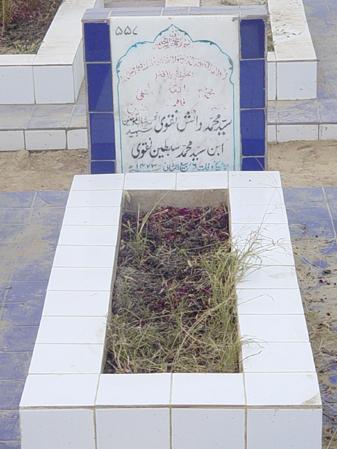 557 – Syed Danish Abbas Taqvi