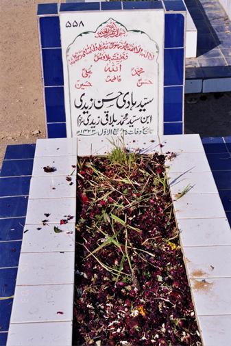 558 – Syed Hadi Hussain Zaidi