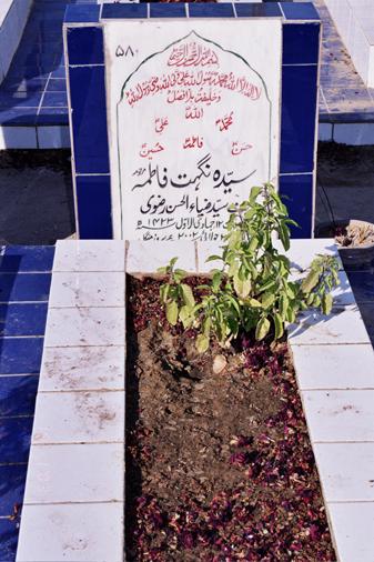 580 – Syeda Nighat Zehra