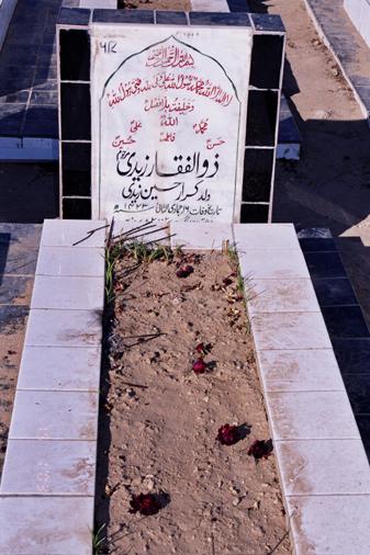 617 – Zulfiqar Zaidi