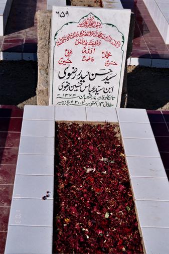 659 – Syed Hassan Haider Rizvi