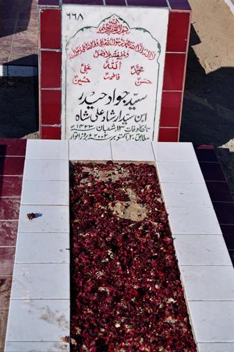 668 – Syed Jawad Haider