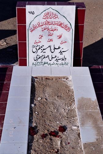 685 – Syed Ali Ameer Jafri