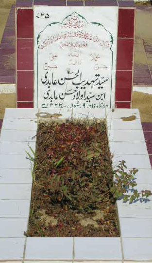 725 – Syed Tehzeeb-ul-hasan Abidi