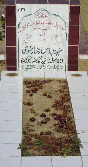 731 – Syed Abbas Raza Rizvi