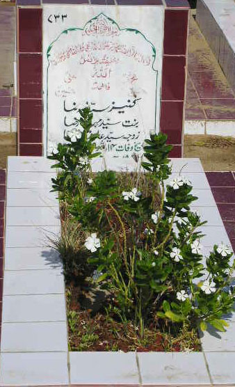 733 – Kaneez Syeda Raza