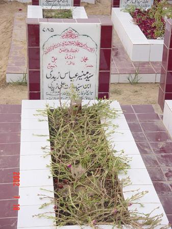 785 – Syed Muneer Abbas Zaidi