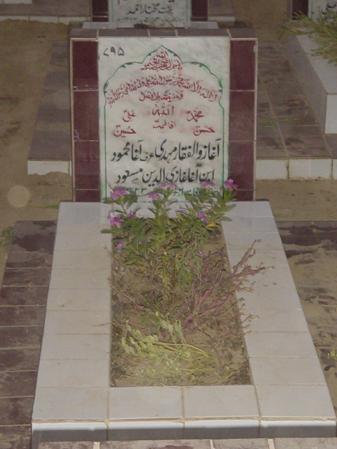 795 – Agha Zulfiqar Mehdi