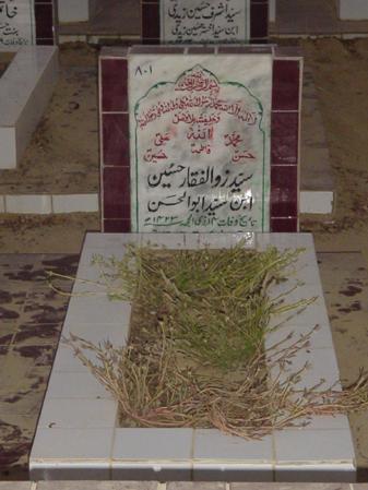 801 – Syed Zulfiqar Hussain