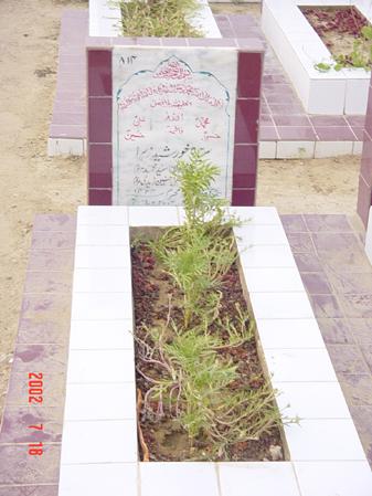 814 – Syeda Khursheed Zehra