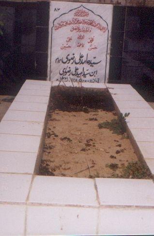 82 – Syed Hamid Ali Rizvi