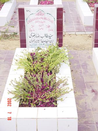 827 – Syeda Talib Raza Rizvi