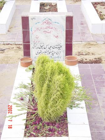 841 – Syed Hussain Abbas Rizvi