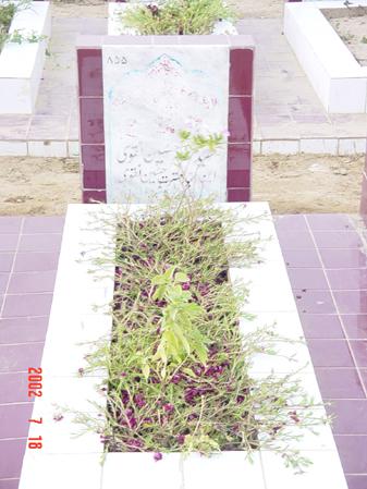 855 – Syed Mazhar Hussain Naqvi