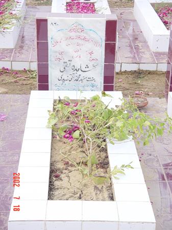 860 – Shahida Naqi