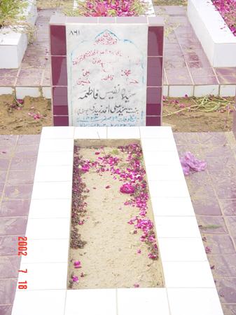 861 – Syeda Nafees Fatima