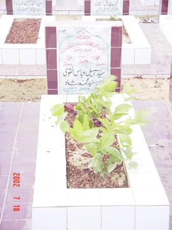 864 – Syed Sohail Abbas Naqvi