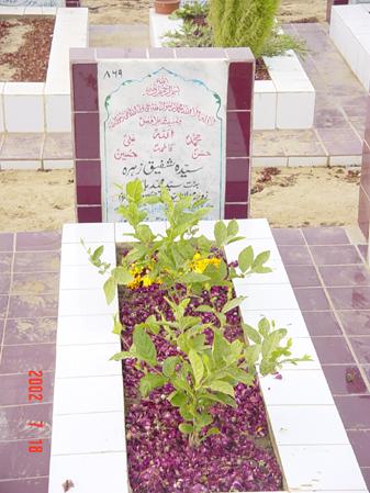 869 – Syeda Shafiq Zehra