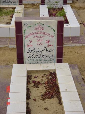 876 – Syed Hashim Raza Rizvi