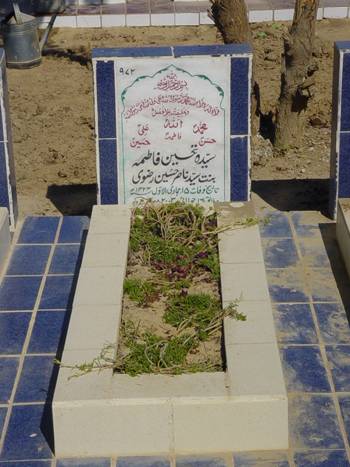 972 – Syeda Tehseen Fatima