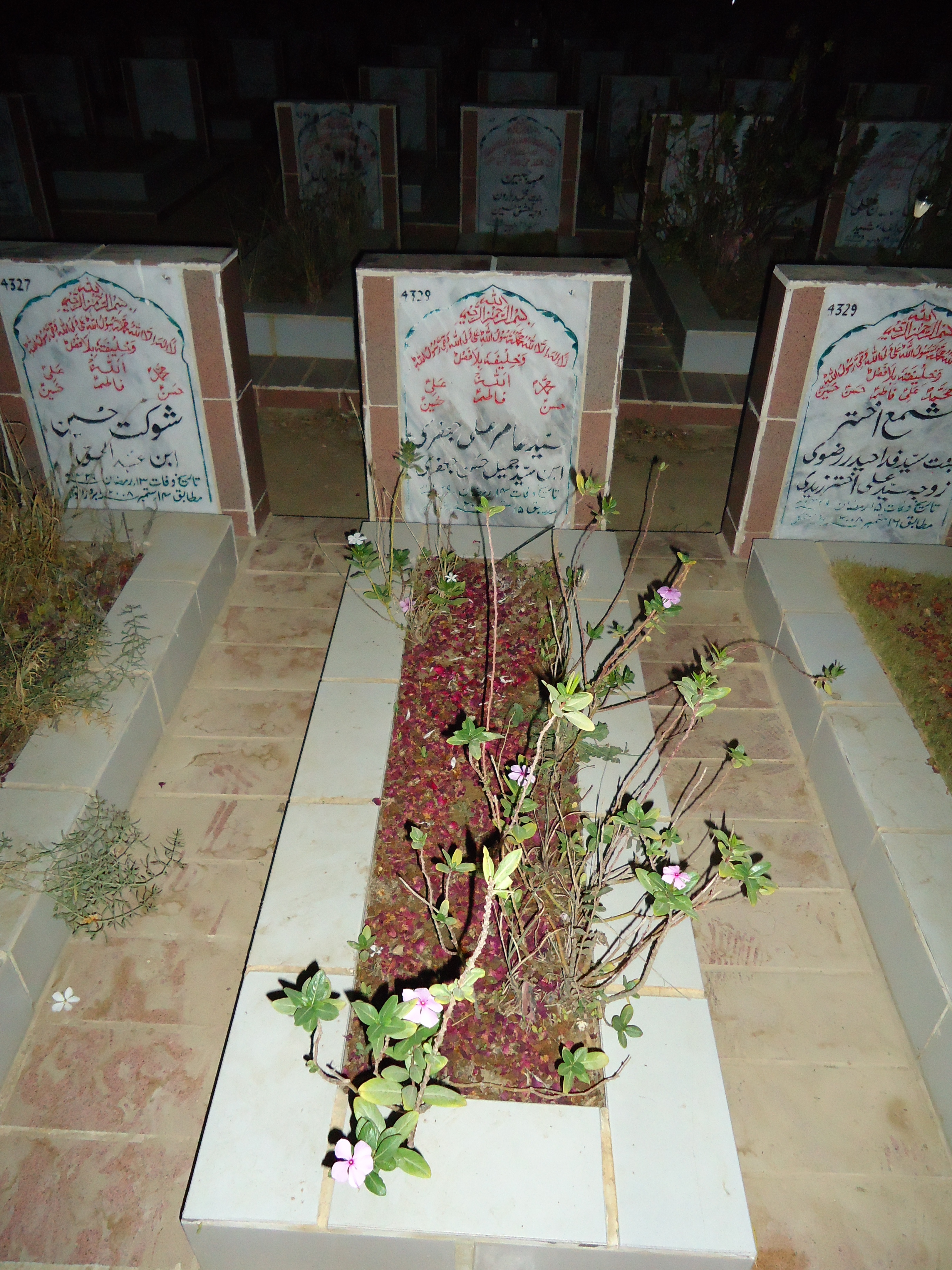 4328 – Syed Aamir Ali Jafary