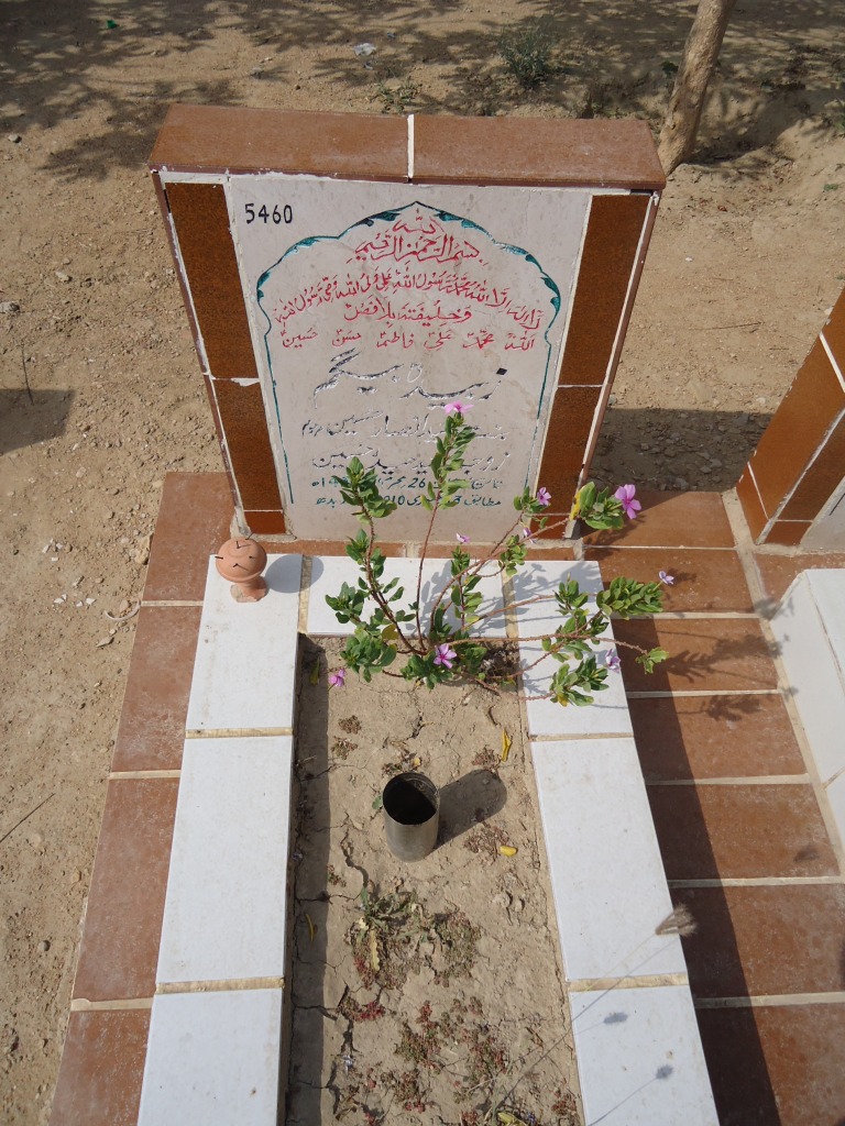 5460 – ZUBAIDA BEGUM
