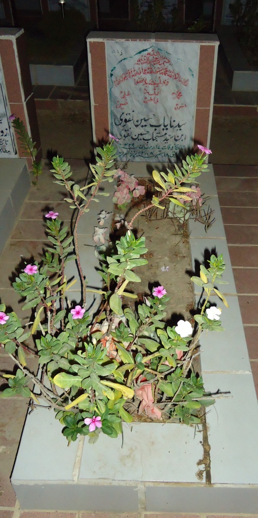 4335 – Syed Nayab Hussain Naqvi