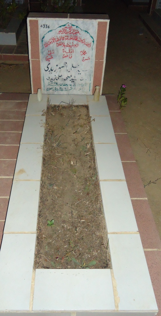 4336 – Syed Ali Azhar Zaidi