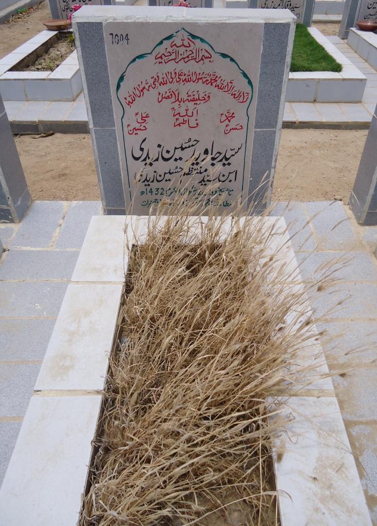 7004 – Syed Javed Hussain Zaidi