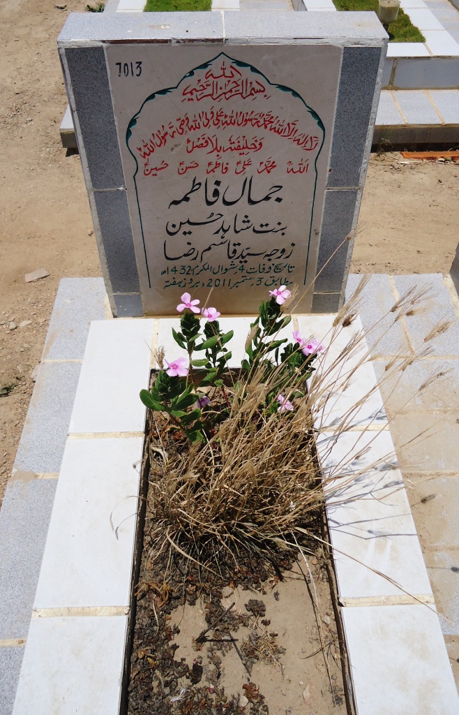 7013 – Jamal Fatima